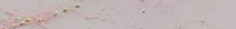 publication header