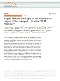 Asgard archaea shed light on the evolutionary origins of the eukaryotic ubiquitin-ESCRT machinery<br /><strong>Hatano T, Palani S^, Papatziamou D^, Salzer R^, Souza DP^, Tamarit D^, Makwana M, Potter A, Haig A, Xu W, Townsend D, Rochester D, Bellini D, Hussain HMA, Ettema TJG, Löwe J, Baum B*, Robinson NP* & Balasubramanian M*</strong> (2022)