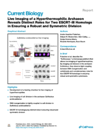 Live Imaging of a Hyperthermophilic Archaeon Reveals Distinct Roles for Two ESCRT-III Homologs in Ensuring a Robust and Symmetric Division.<br />
<strong>AA Pulschen, DR Mutavchiev, S Culley, KN Sebastian, J Roubinet, M Roubinet, G Tarrason Risa, M van Wolferen, C Roubinet, U Schmidt, G Dey, S-V Albers, R Henriques, B Baum.</strong> (2020)