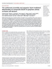 The patterned assembly and stepwise Vps4-mediated disassembly of composite ESCRT-III polymers drives archaeal cell division<br /><strong>Hurtig F, Burgers TCQ, Cezanne A, Jiang X, Mol FN, Traparić J, Pulschen AA, Nierhaus T, Tarrason-Risa G, Harker-Kirschneck L, Löwe J, Šarić A, Vlijm R, Baum B</strong> (2023)