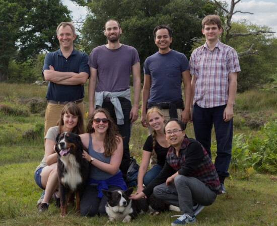 August 2015: New Forest