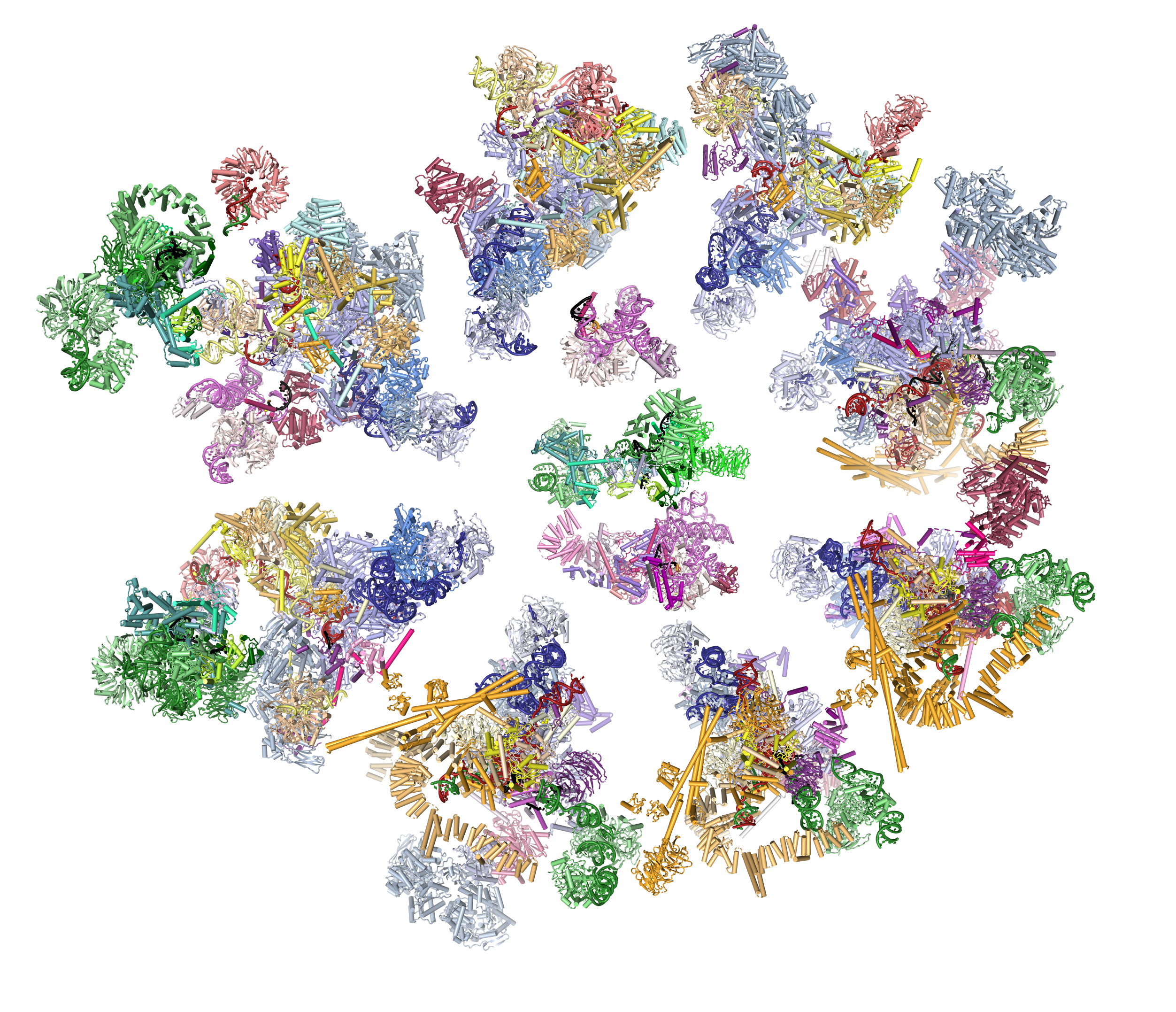 A lot of spliceosomes