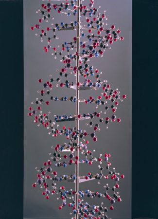 Large ball and spoke model of DNA built by Alexander Barker, for the International Science Pavilion, Brussels World Exhibition, 1958.