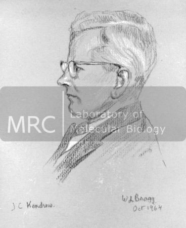 Pencil drawing of John Kendrew by William Lawrence Bragg, October 1964.