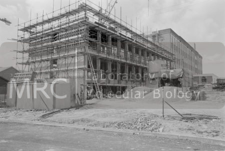 Construction of the 13-bay extension to the LMB building, taken from opposite where the current entrance now stands.