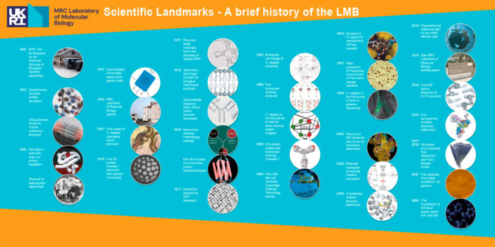 A brief History of the LM poster preview