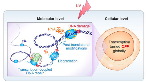 ATV LabWebpage Figure 1