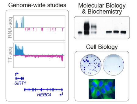 ATV LabWebpage Figure 2