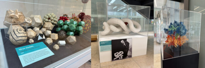 Images of three archive displays in the LMB atrium: image 1 shows geometric virus models made from easy to find materials such as paper and ping pong balls, in variety of shapes and colours, made by Aaron Klug and John Finch, image two shows the ‘sausage’ white and red model of myoglobin, showing the twists in the protein chain, and image three shows a 3D printed ribosome model in blues, greens, reds and yellow colours to highlight the different parts of the protein machine in a display case.
