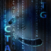 Computational design of an entire bacterial genome with a compressed genetic code
