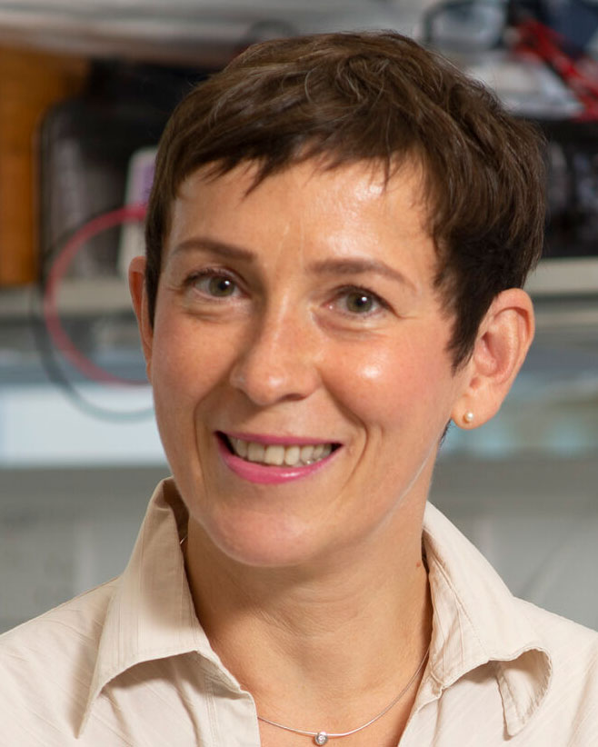 Anne Bertolotti