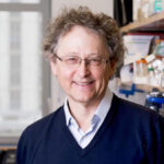 Michel C. Nussenzweig