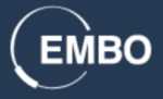 EMBO logo