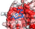 figurex_hydrophobicity2