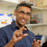 Manu Hegde