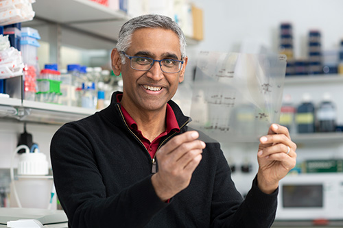 Ramanujan Hegde
