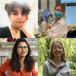 Soudabeh Imanikia, Sofia Lövestam, Mayuri Gogi, Denise Walker