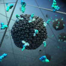 Virus Image