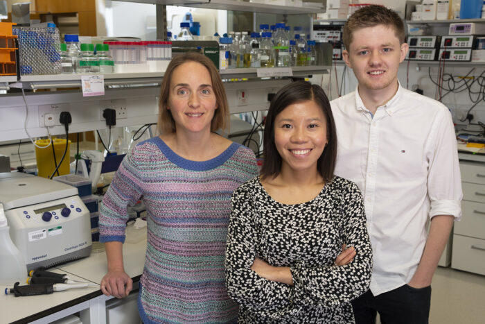 Kelly Nguyen’s group