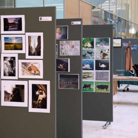 LMB Art Show display