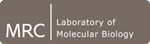LMB logo watermark