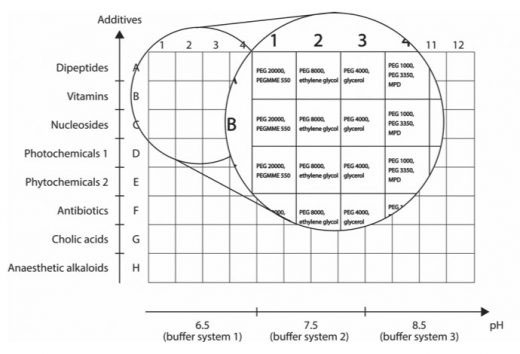 MORPHEUS III Fig 1