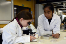 Science Detectives in action