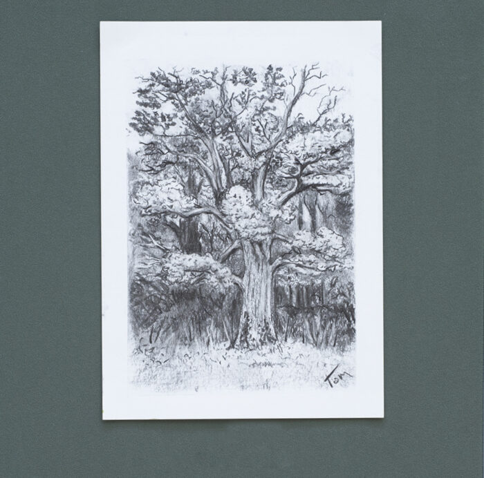 An A4 print of a forested area in black ink on white paper. There is a prominent tree in the foreground.