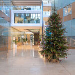 Christmas tree in atrium