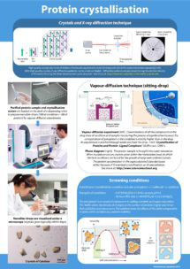 Poster Protein Crystallization 
