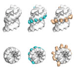 Larger and larger modifications to the canonical nucleic acid structure