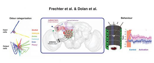Representation of experiments and results