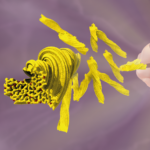 Cryo-EM structure of TAF15 and brain.