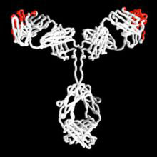 Molecule graphic