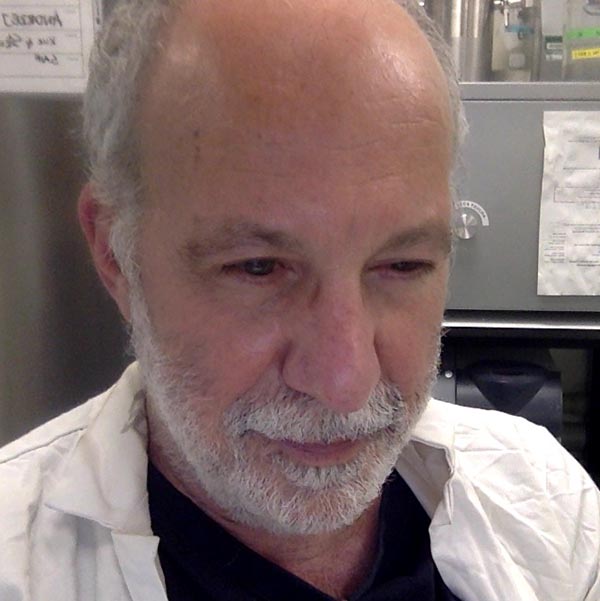 Ben Luisi