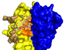 bicycle-binding-sites
