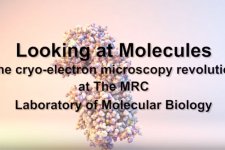Electron cryo-microscopy film