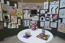 Imagining the Brain Competition