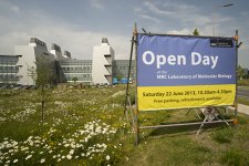 LMB Open Day 2013