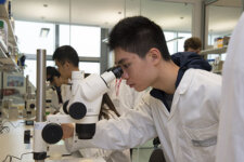 London International Youth Science Forum