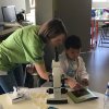 Looking at worms under the microscope