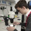 Looking at Drosophila