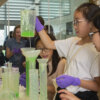 Girls taking part in Worms and Sneezes