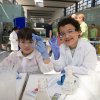 extracting DNA from fruit