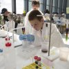 MRC Laboratory of Molecular Biology Open Day 2017