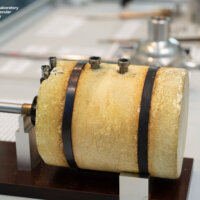 styrofoam holder