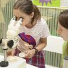 MRC Laboratory of Molecular Biology Open Day 2017