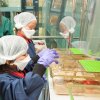 MRC Laboratory of Molecular Biology Open Day 2017