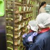 MRC Laboratory of Molecular Biology Open Day 2017