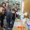 Mighty Molecular Motors: viewing cilia of Tetrahymena